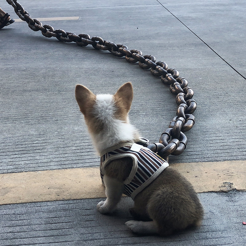 BarkBling - Grande laisse pour chiens amusante