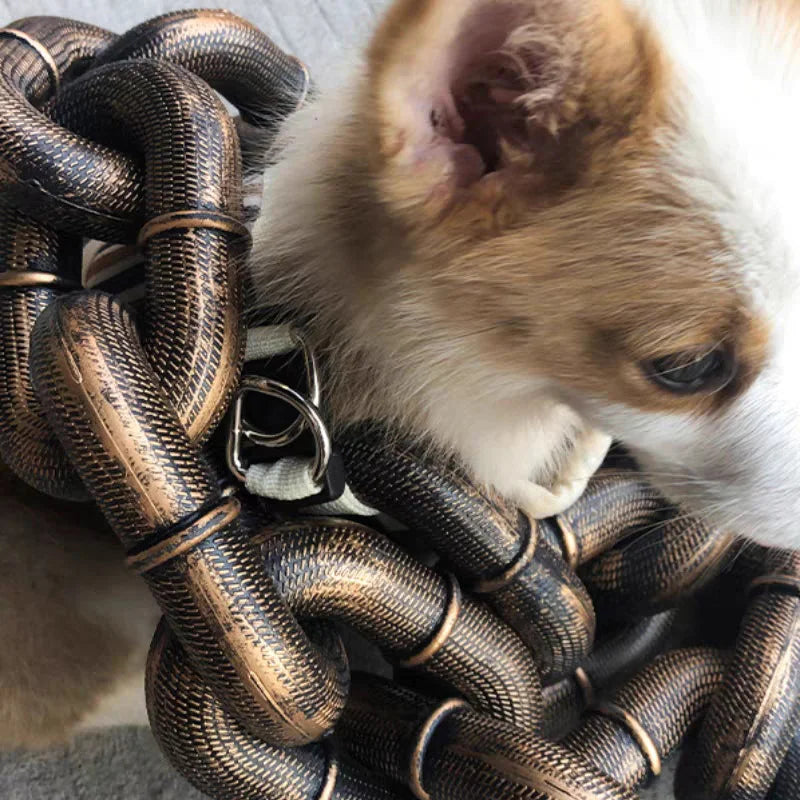 BarkBling - Grande laisse pour chiens amusante