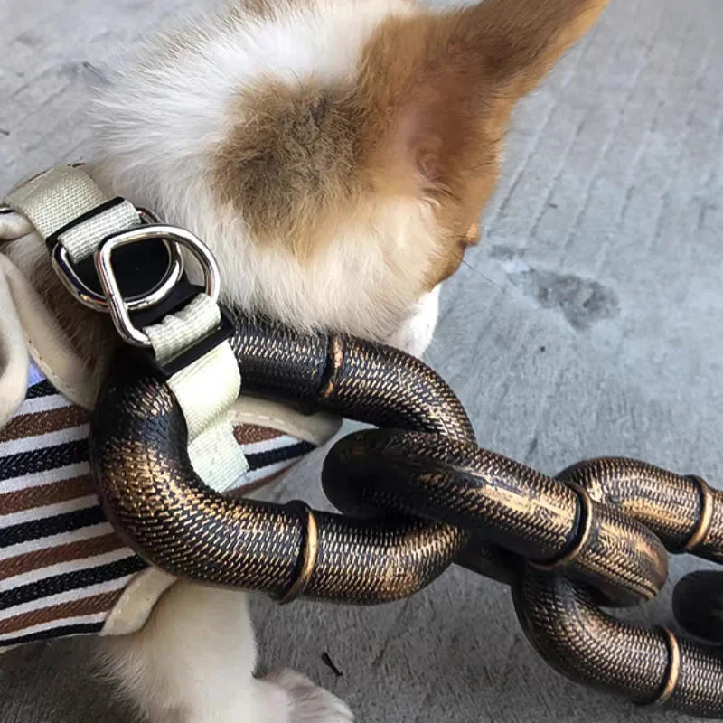 BarkBling - Grande laisse pour chiens amusante