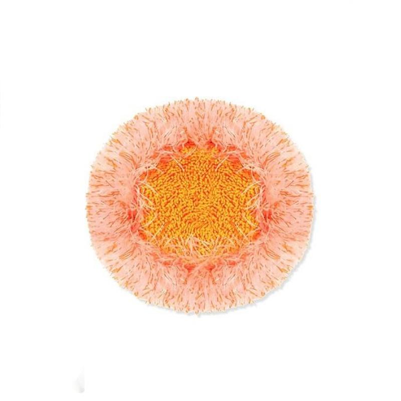 LuxeClean 360° Mop de Nettoyage Rotative | Mop Réglable pour un Nettoyage Facile dans Chaque Coin