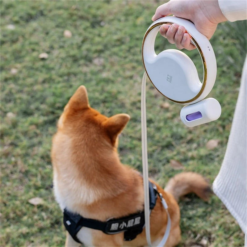 Laisse Automatique LumoLeash | Avec lumière LED & prise ergonomique | Mécanisme de rappel | Pour petits & moyens chiens