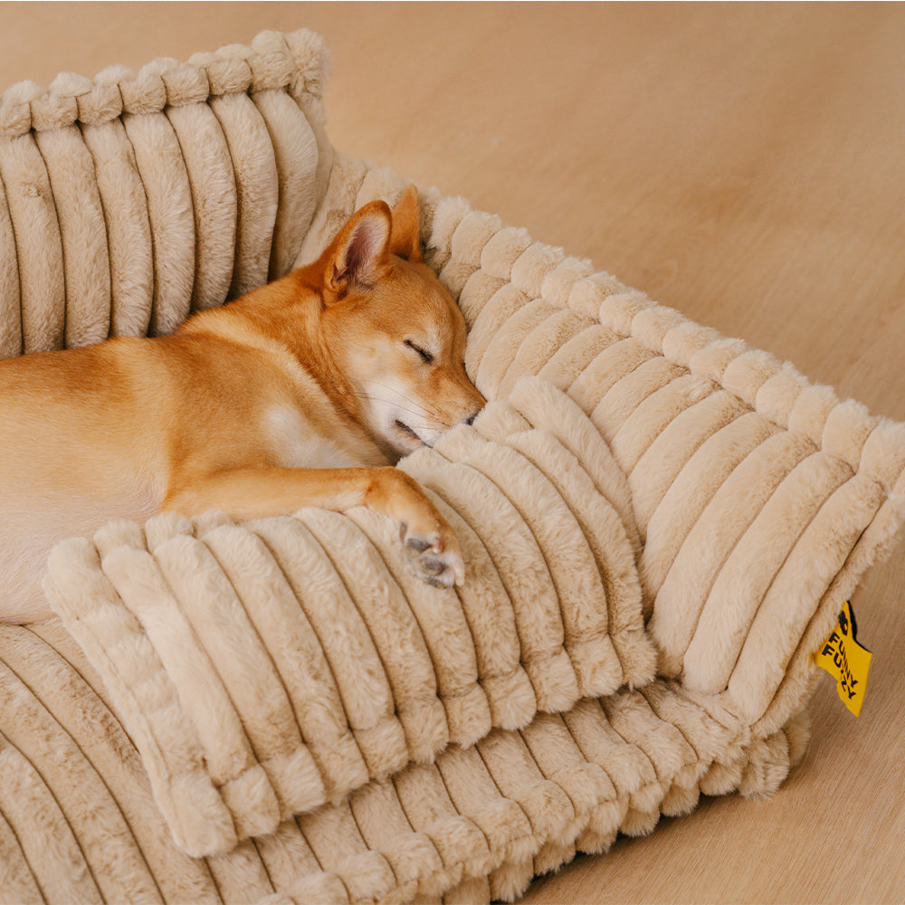 PawCushion | canapé orthopédique lavable pour animaux de compagnie