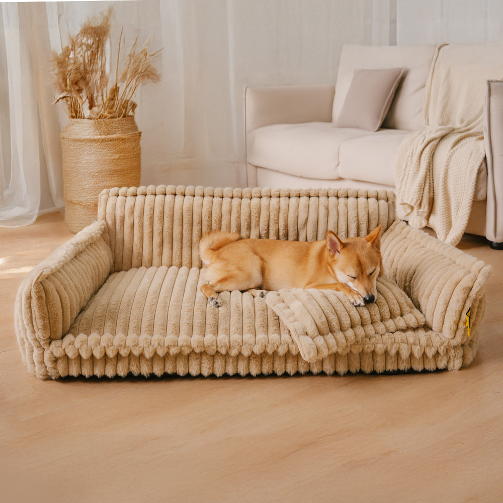 PawCushion | canapé orthopédique lavable pour animaux de compagnie