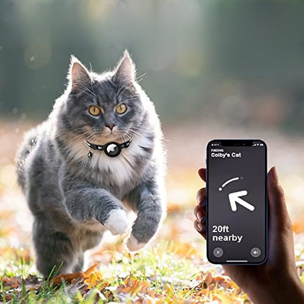 Collier GPS pour Chat avec Fermeture Rapide et Design Réfléchissant pour une Visibilité Nocturne Améliorée