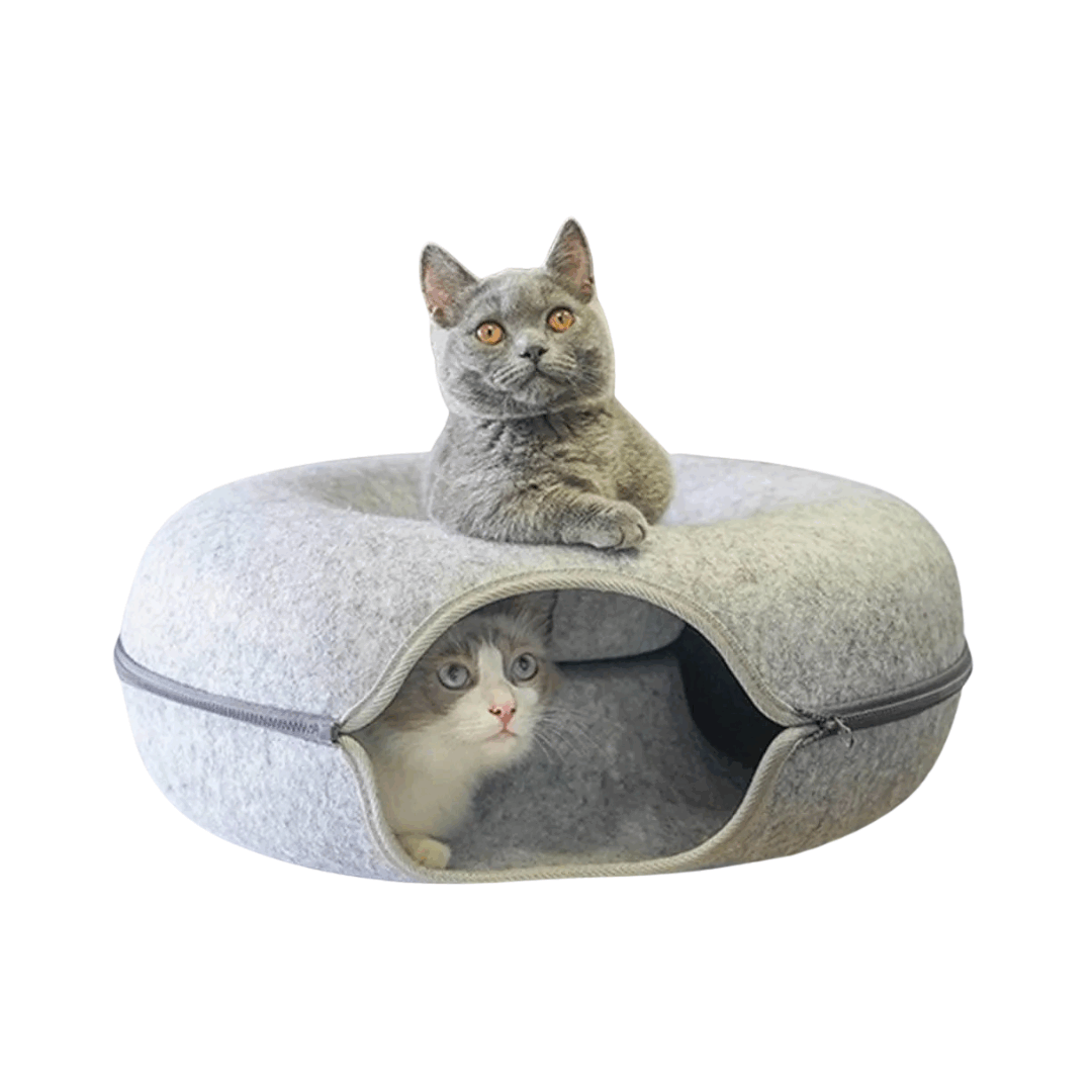 PawDonut Tunnel | Tunnel pour Chats et Maison de Jouets