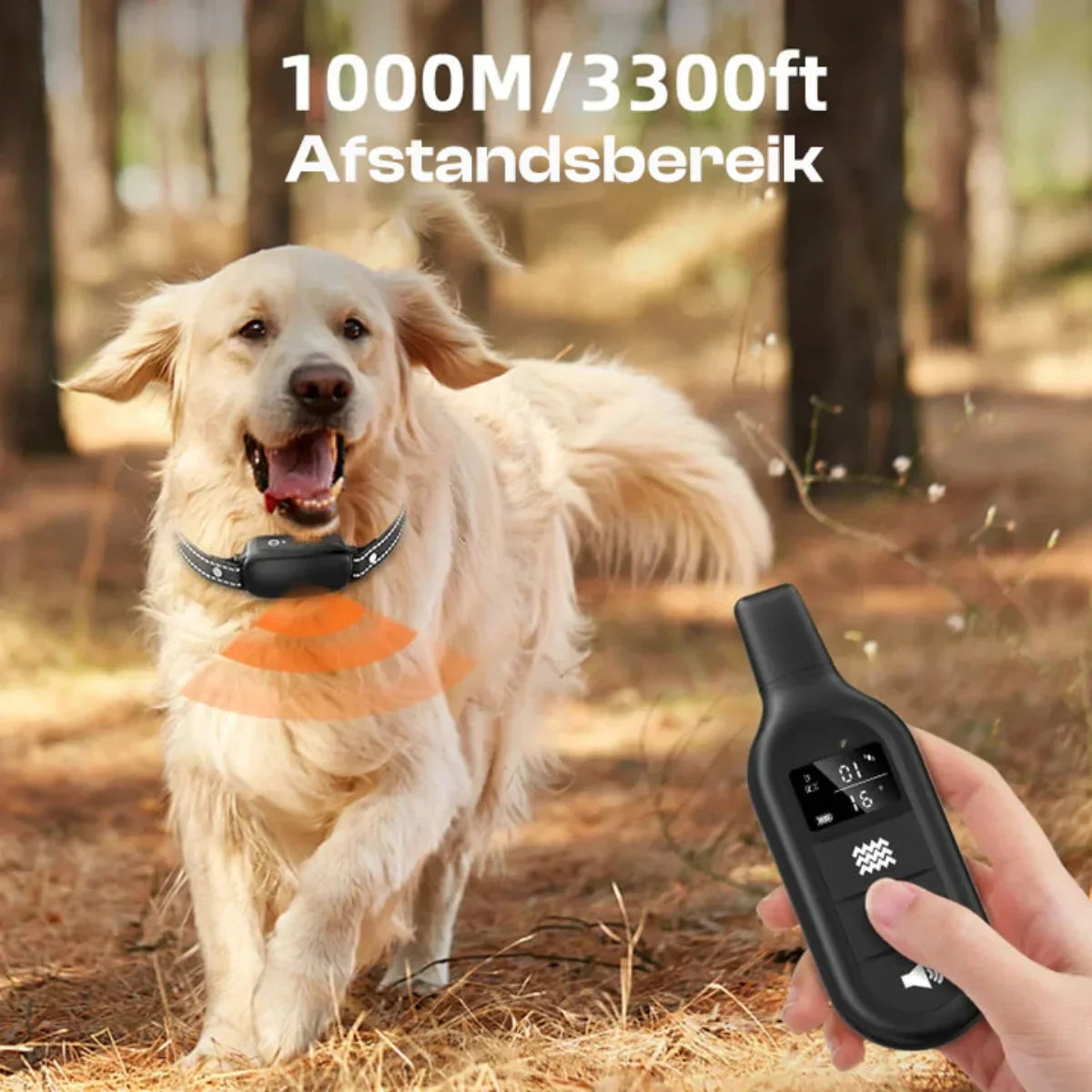 Collier de Dressage Électrique pour Chiens avec Télécommande, Étanche, 16 Niveaux de Choc Réglables, Portée de 1000m, Modes Sonore & Vibration