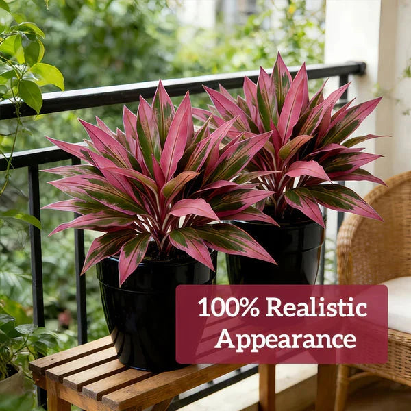 Verdara – Ensemble de Plantes Faux Cordyline Vibrantes