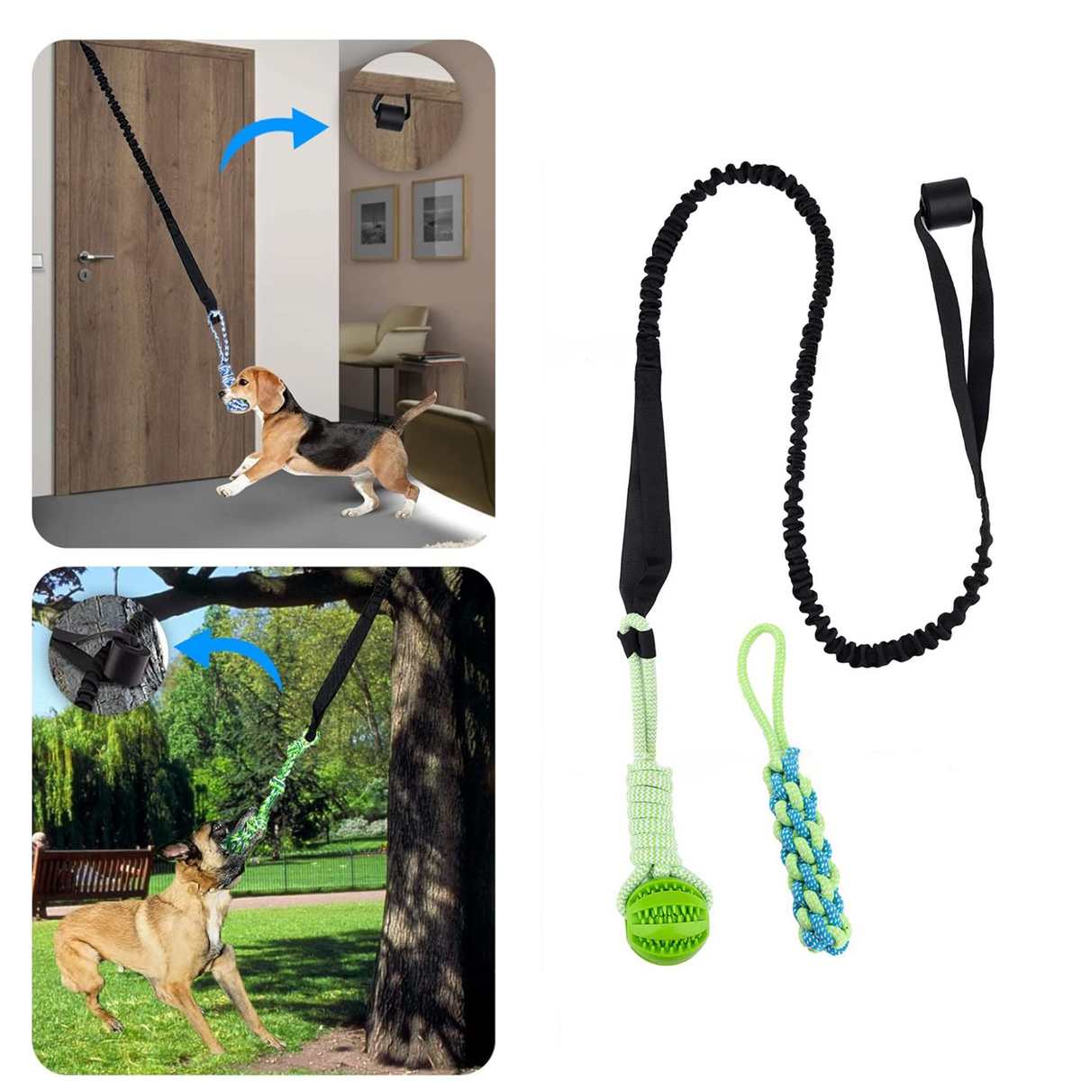 Springball Pro | plaisir printanier infini pour votre chien