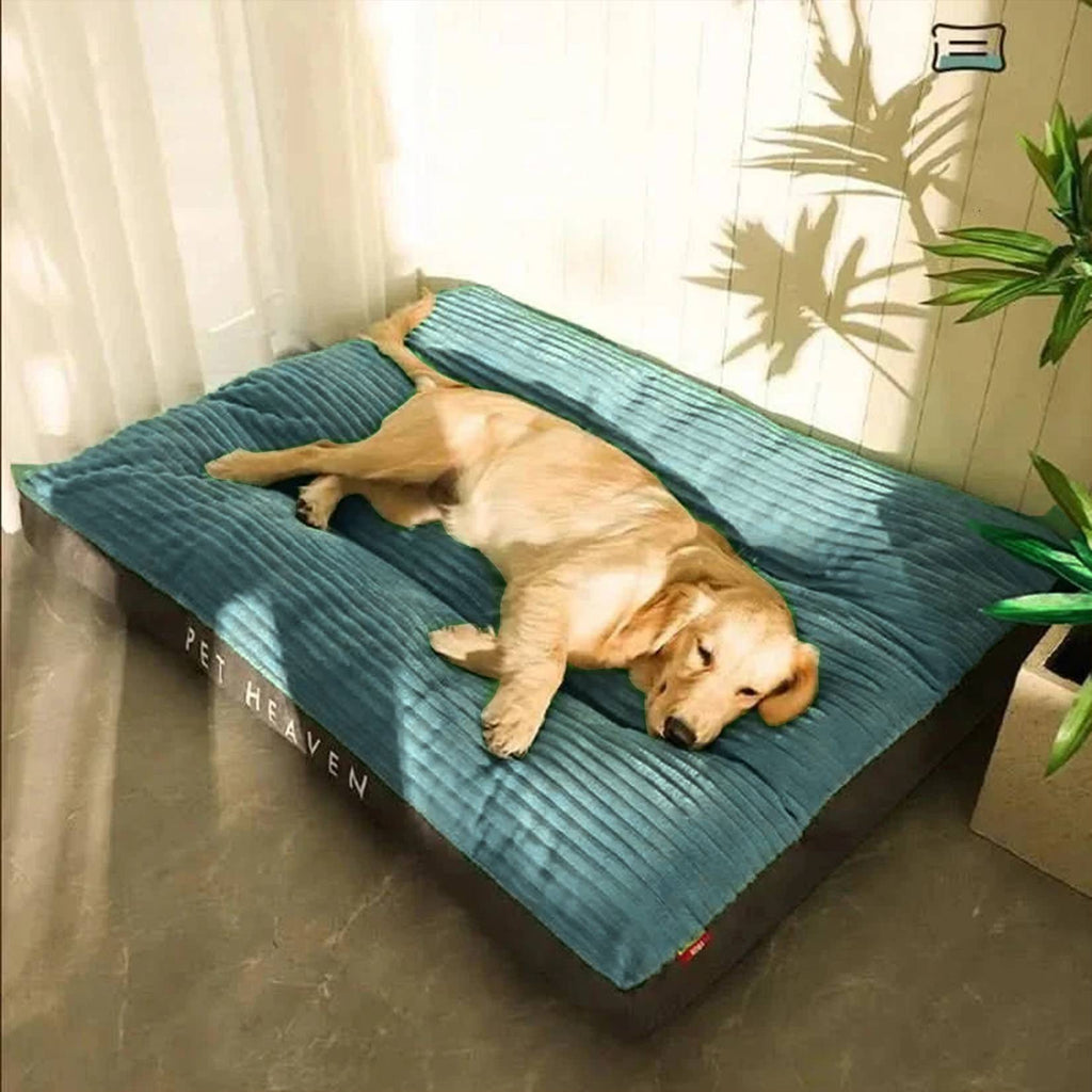 FlauschNest Lit Orthopédique pour Chien – Douillet & Soutenant pour des Nuits Reposantes