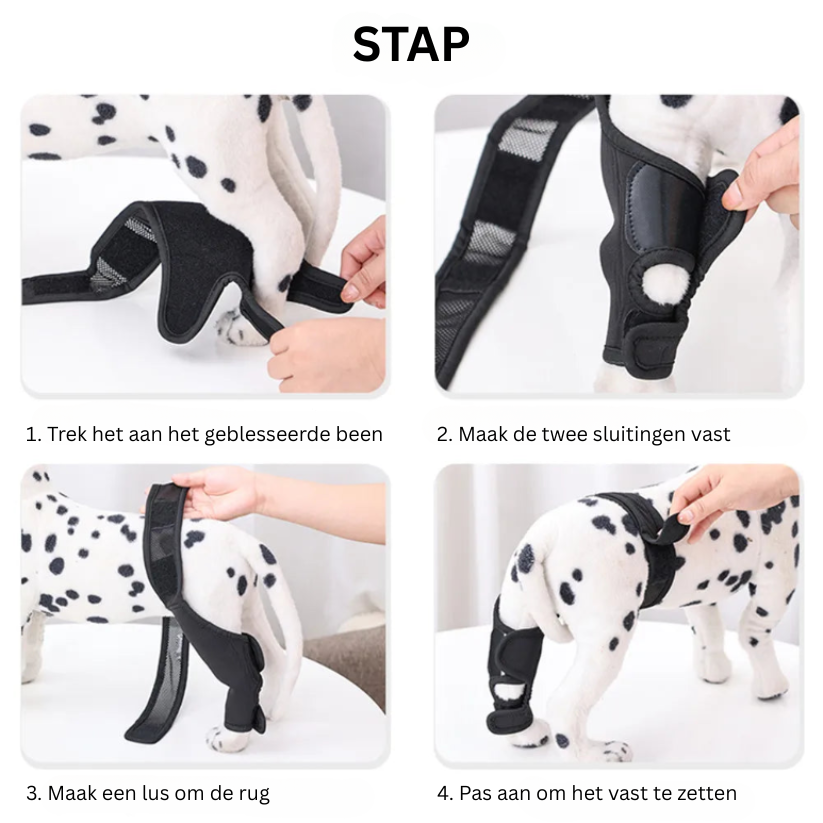 PootVitaal Genouillère pour Chiens – Soutien en cas de Douleurs Articulaires et Réhabilitation