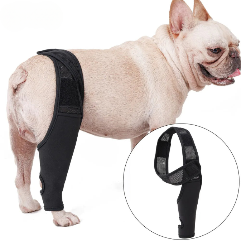 PootVitaal Genouillère pour Chiens – Soutien en cas de Douleurs Articulaires et Réhabilitation