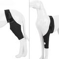 PootVitaal Genouillère pour Chiens – Soutien en cas de Douleurs Articulaires et Réhabilitation