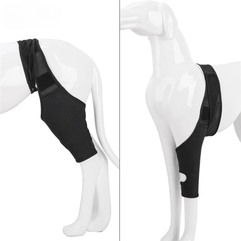 PootVitaal Genouillère pour Chiens – Soutien en cas de Douleurs Articulaires et Réhabilitation