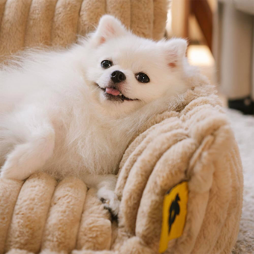 PawCushion | canapé orthopédique lavable pour animaux de compagnie