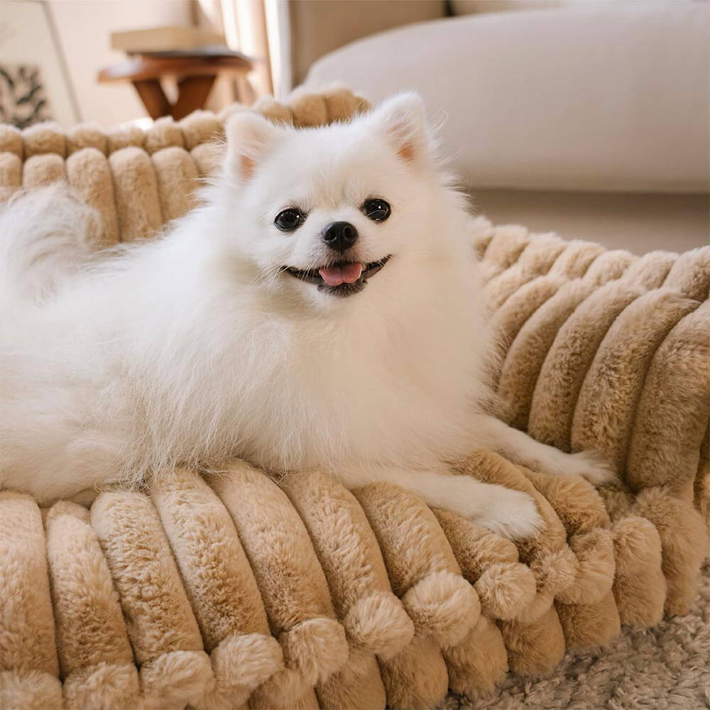 PawCushion | canapé orthopédique lavable pour animaux de compagnie