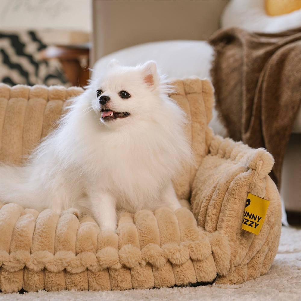 PawCushion | canapé orthopédique lavable pour animaux de compagnie