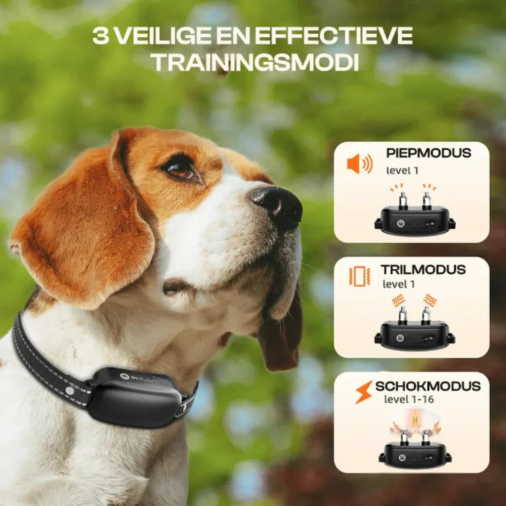 Collier de Dressage Électrique pour Chiens avec Télécommande, Étanche, 16 Niveaux de Choc Réglables, Portée de 1000m, Modes Sonore & Vibration