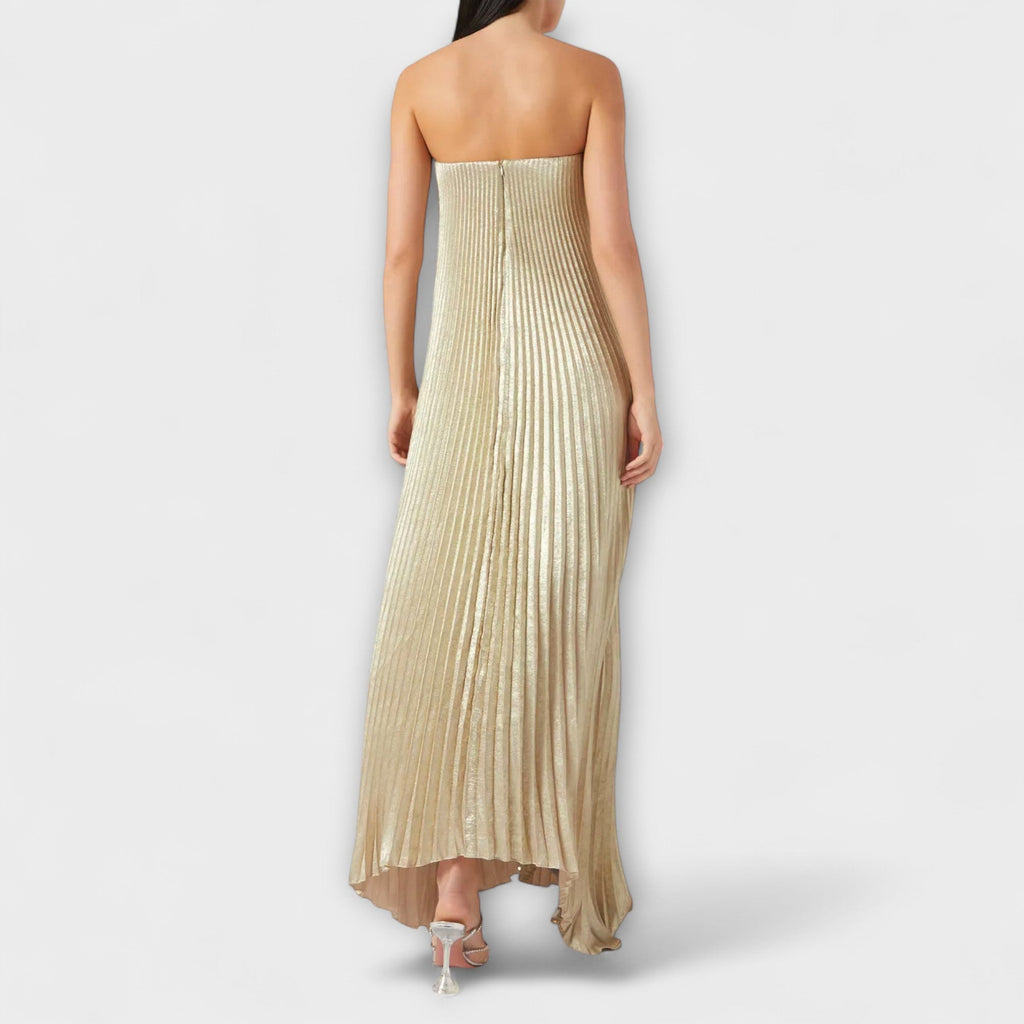 Robe Longue Bustier Plissée avec Corset et Imprimé Floral