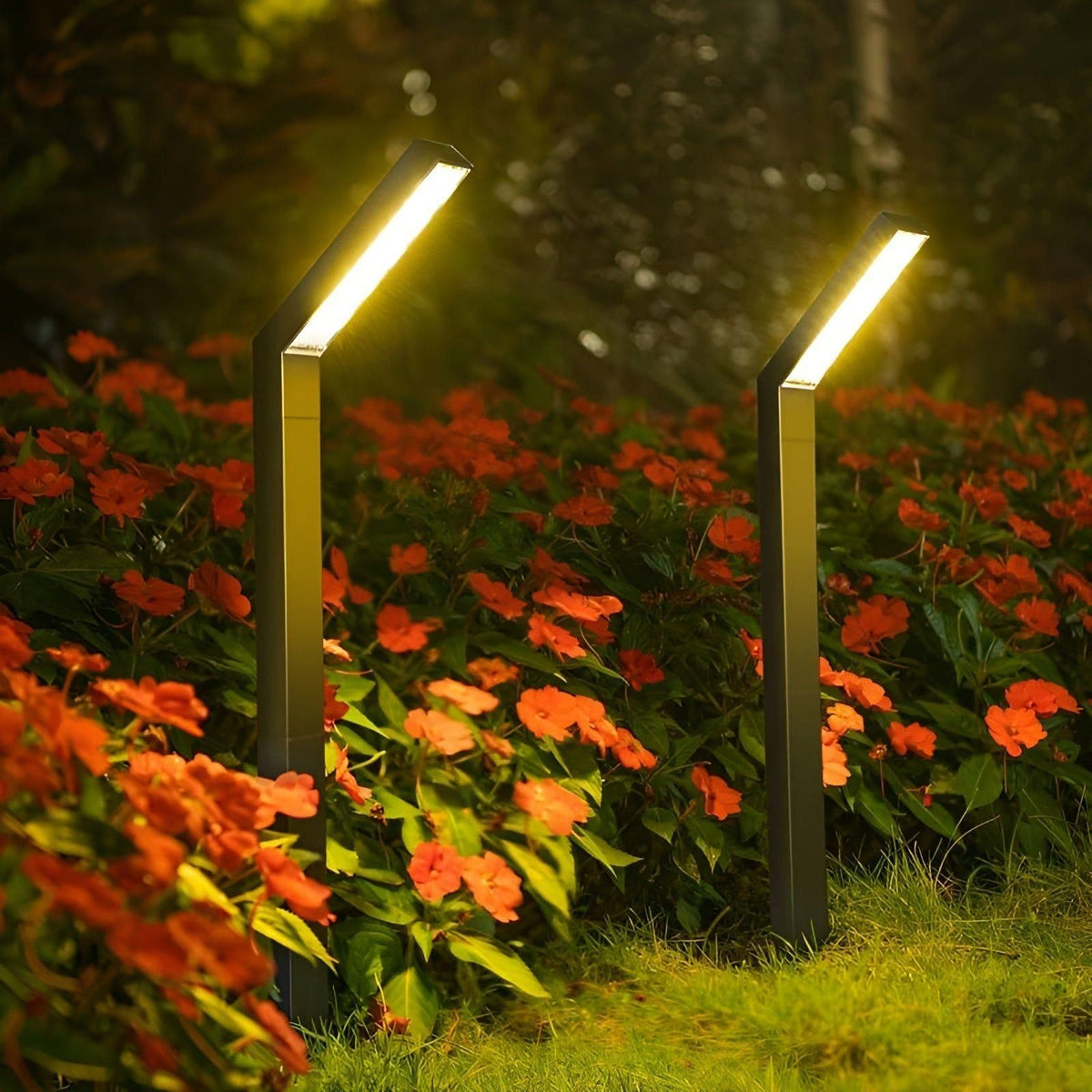 Éclairage Extérieur Solaire Résistant aux Intempéries Lampe de Jardin Durable Énergie Solaire