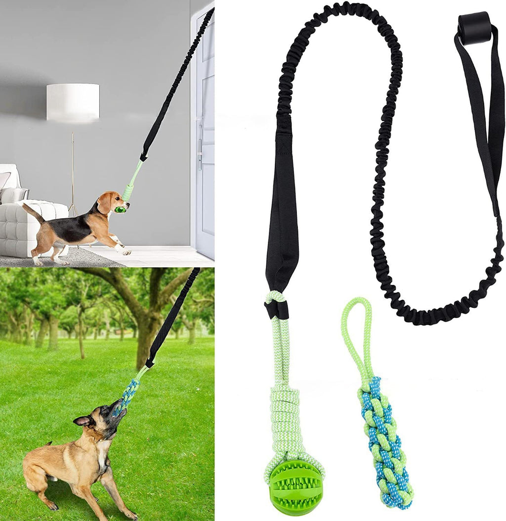 Springball Pro | plaisir printanier infini pour votre chien