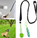 Springball Pro | plaisir printanier infini pour votre chien