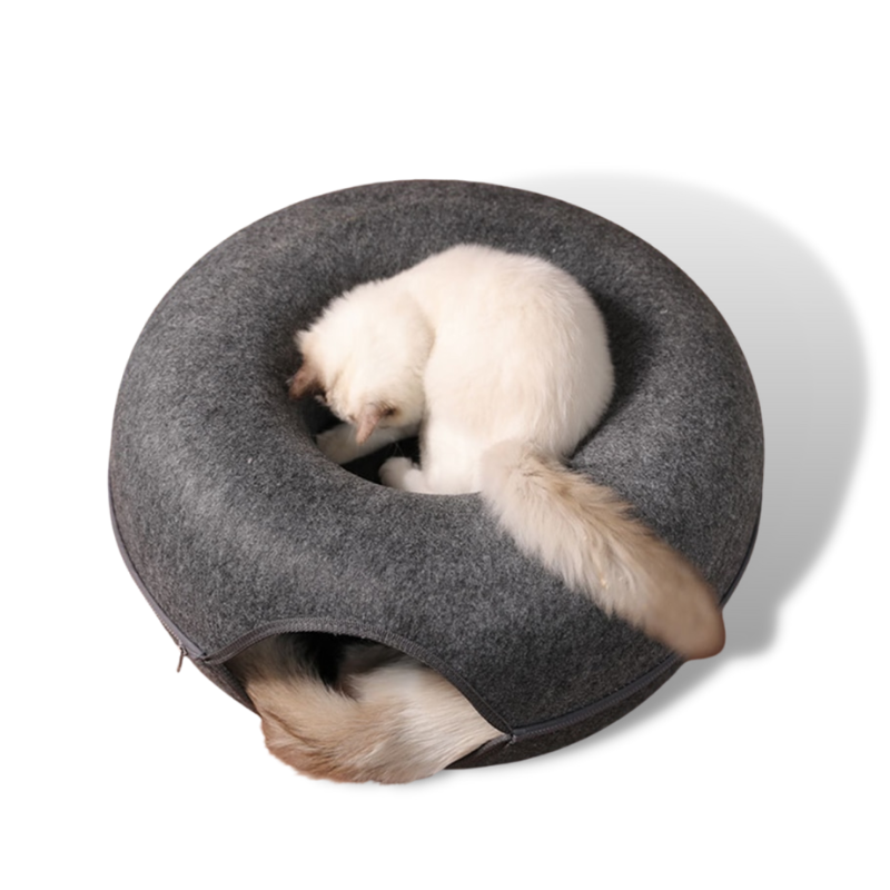 PawDonut Tunnel | Tunnel pour Chats et Maison de Jouets