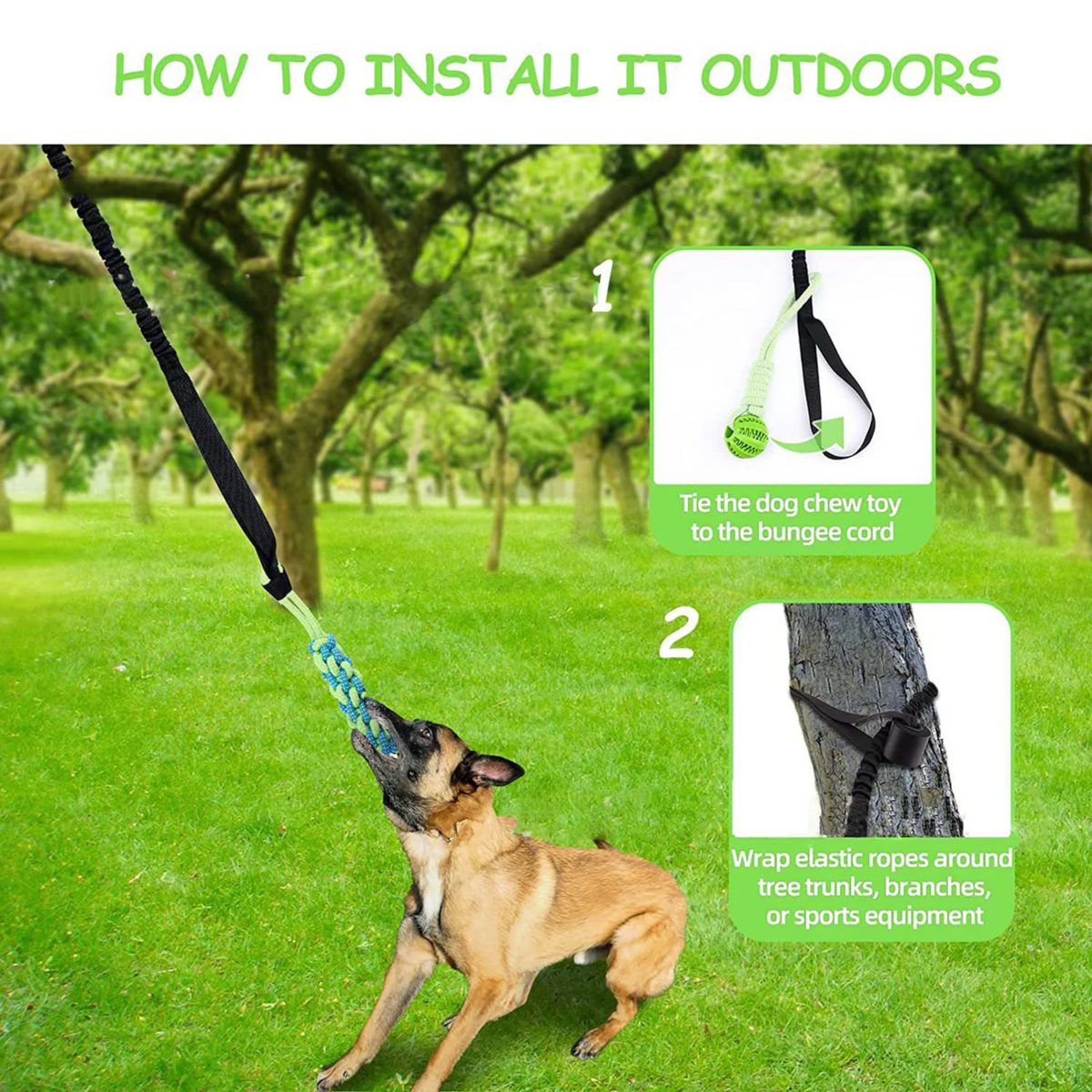 Springball Pro | plaisir printanier infini pour votre chien