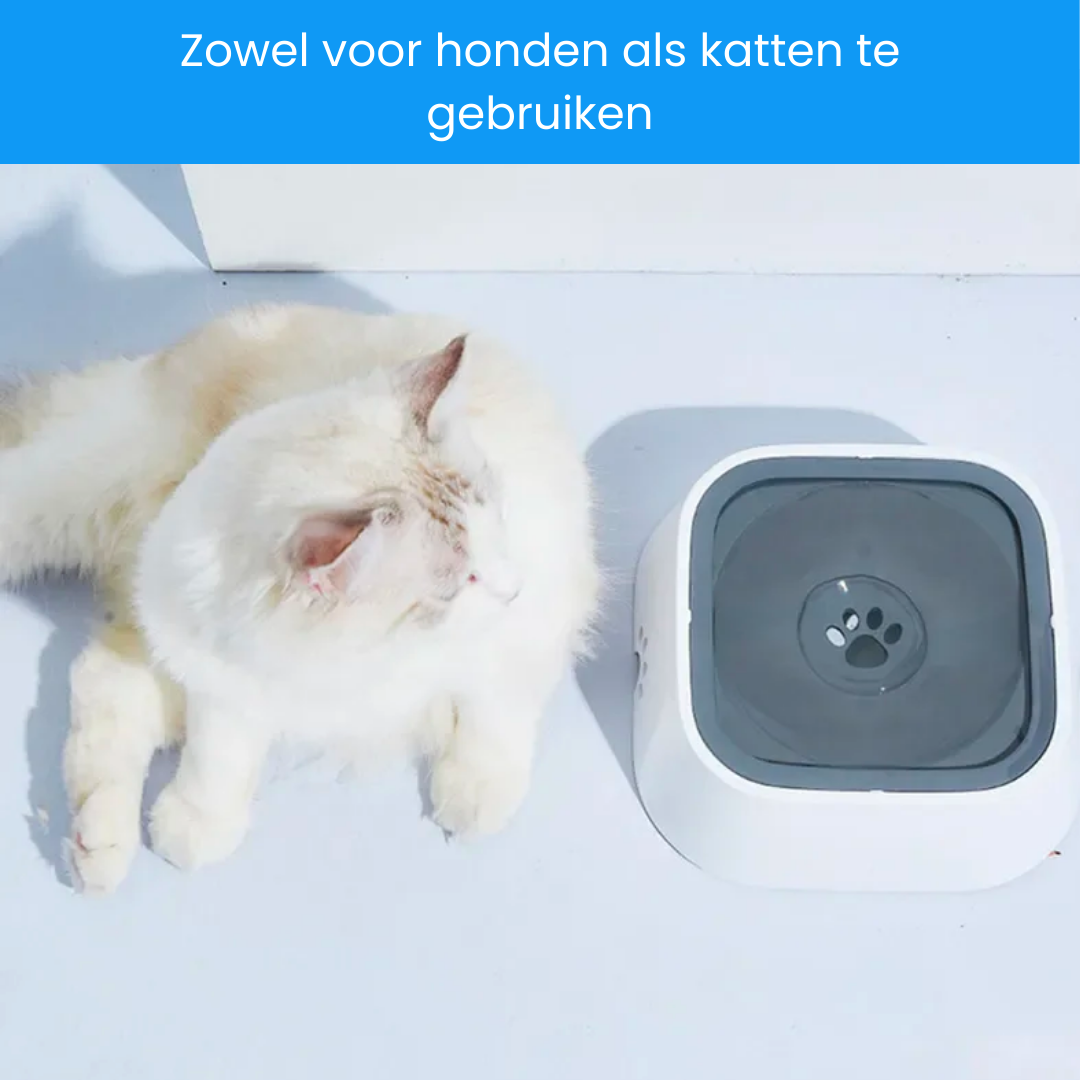 CleanBowl | Bol de boisson sans éclaboussures pour votre compagnon à quatre pattes