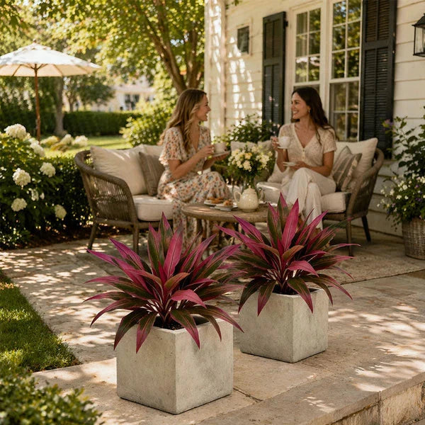 Verdara – Ensemble de Plantes Faux Cordyline Vibrantes
