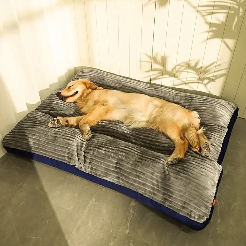 FlauschNest Lit Orthopédique pour Chien – Douillet & Soutenant pour des Nuits Reposantes