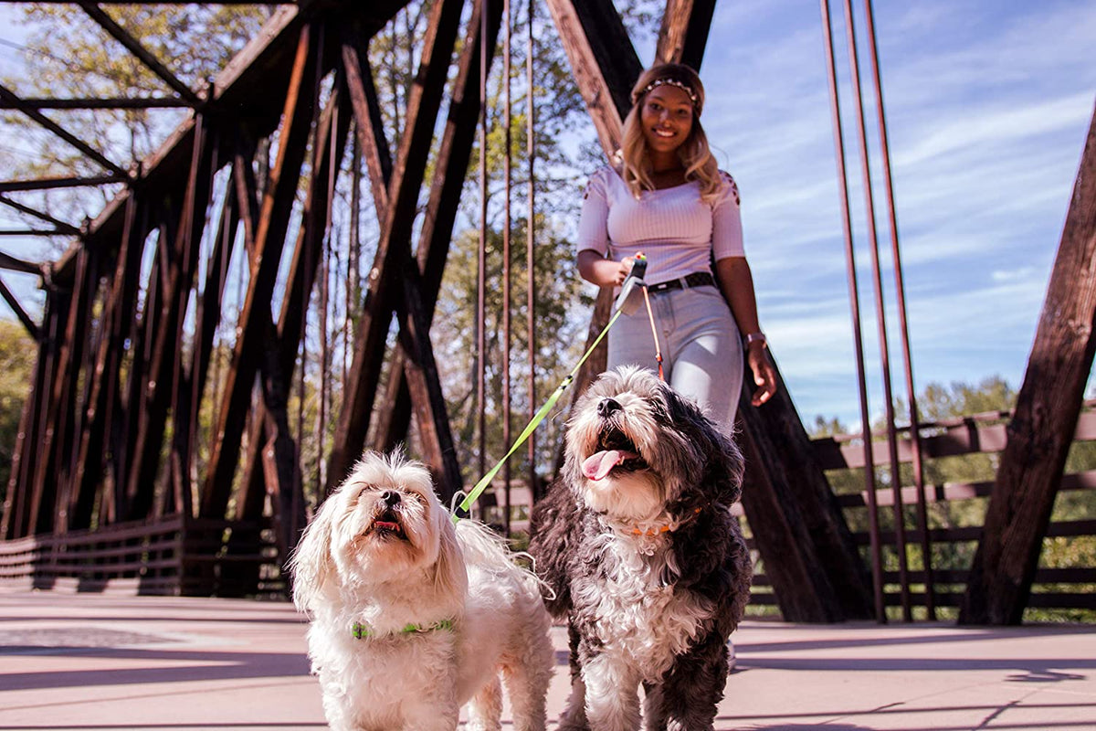 Ligne Flexi pour Deux Chiens