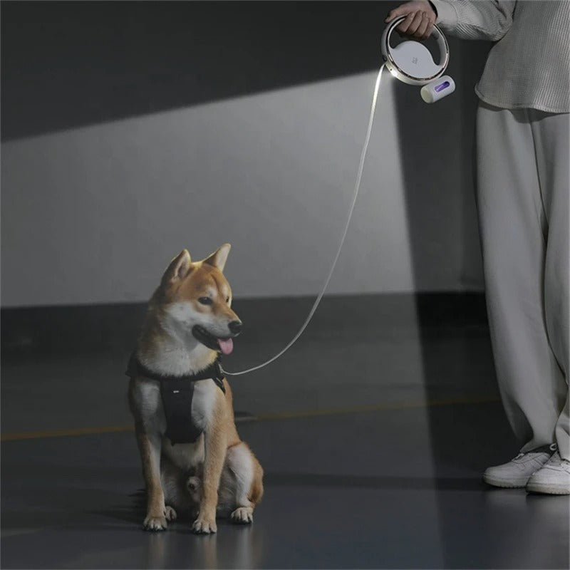 Laisse Automatique LumoLeash | Avec lumière LED & prise ergonomique | Mécanisme de rappel | Pour petits & moyens chiens
