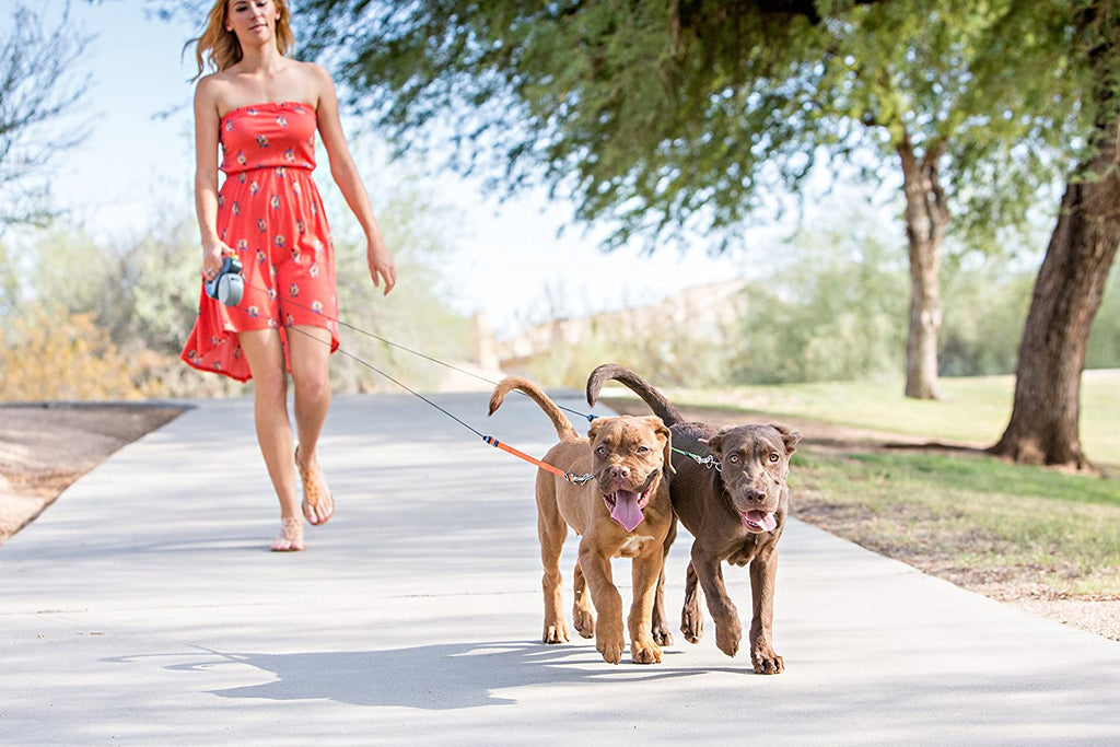 Ligne Flexi pour Deux Chiens