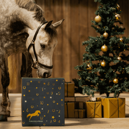 EquiTrend | Calendrier de l'Avent 2025 pour Amateurs de Chevaux