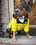 PawDry Veste Imperméable pour Chiens | Veste légère coupe-vent pour Bulldogs Français, Chihuahuas et autres
