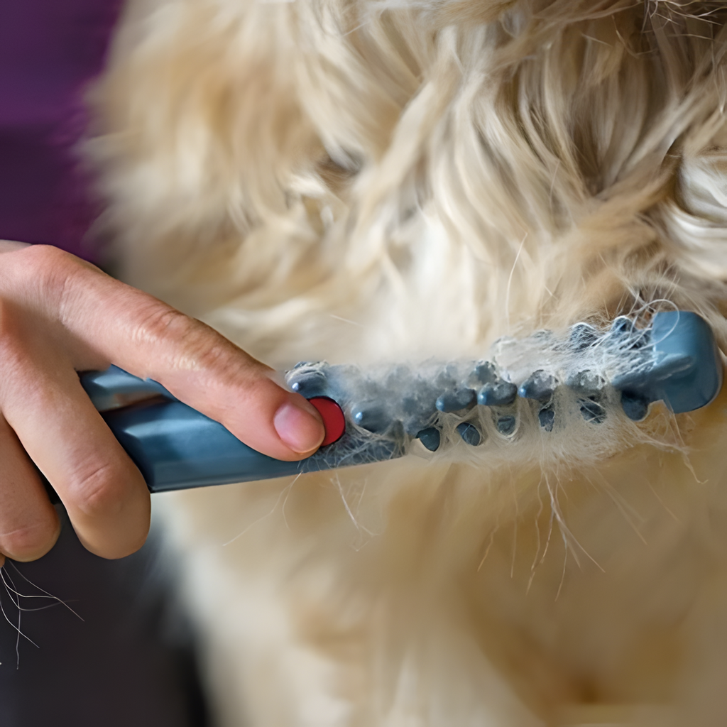 Plus de nœuds et de nœuds pour votre animal de compagnie