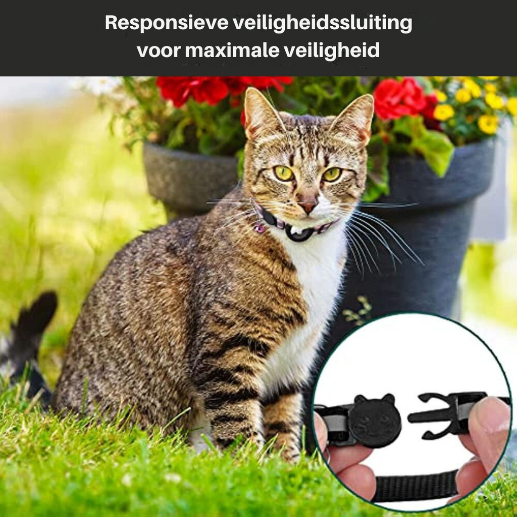 Collier GPS pour Chat avec Fermeture Rapide et Design Réfléchissant pour une Visibilité Nocturne Améliorée