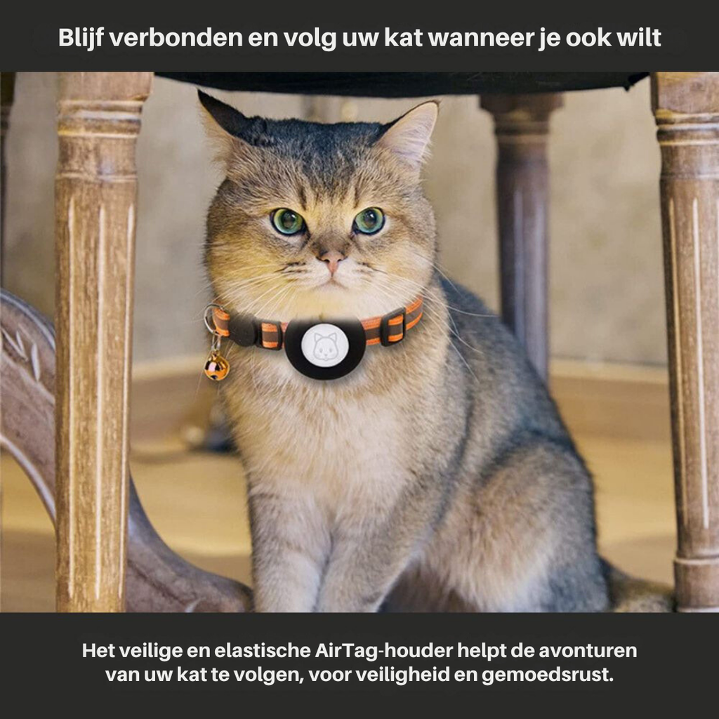 Collier GPS pour Chat avec Fermeture Rapide et Design Réfléchissant pour une Visibilité Nocturne Améliorée