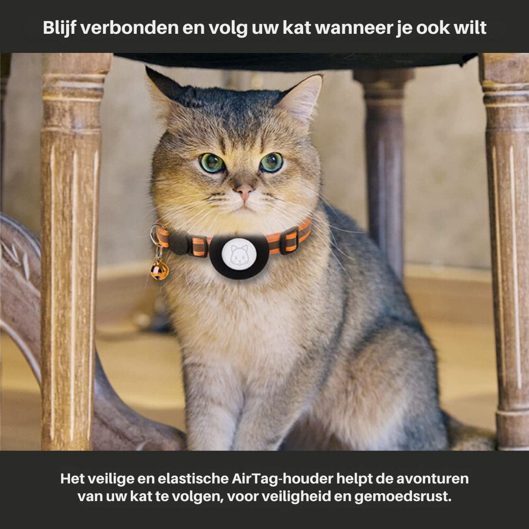 Collier GPS pour Chat avec Fermeture Rapide et Design Réfléchissant pour une Visibilité Nocturne Améliorée