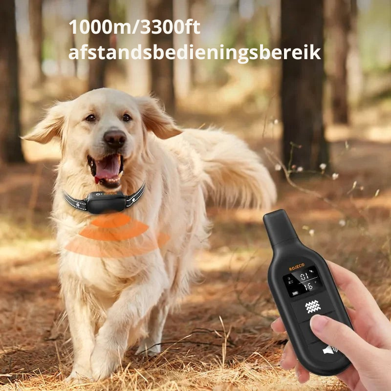 ProTrain – Collier de dressage pour chien rechargeable et étanche