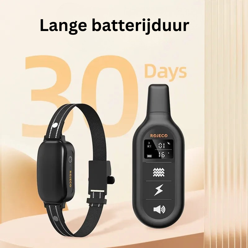 ProTrain – Collier de dressage pour chien rechargeable et étanche