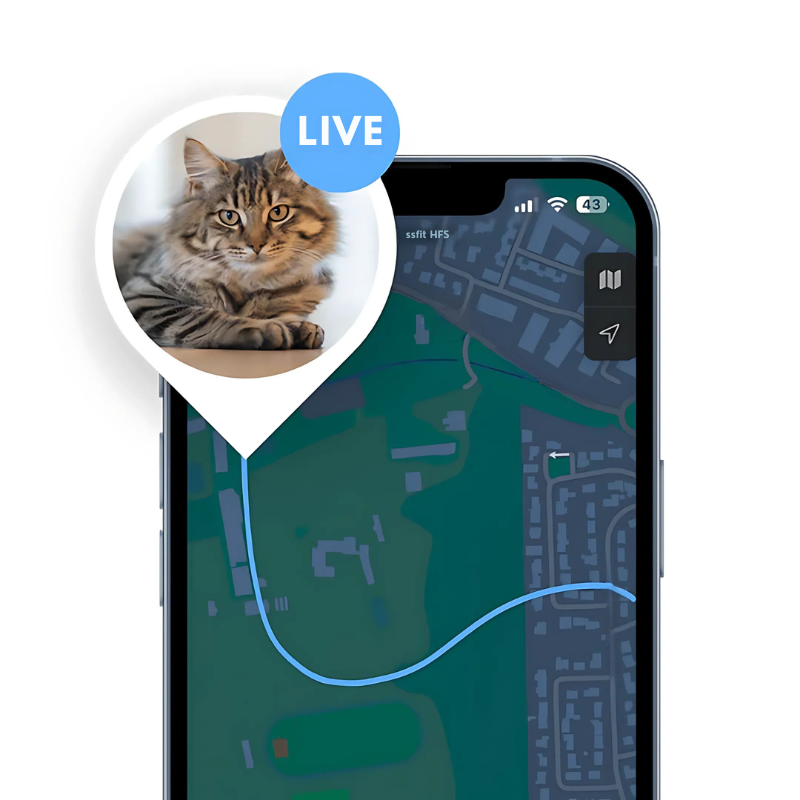 PawTrack Pro Suivi d'Animal de Compagnie | Suivi intelligent pour la sécurité de votre ami à fourrure