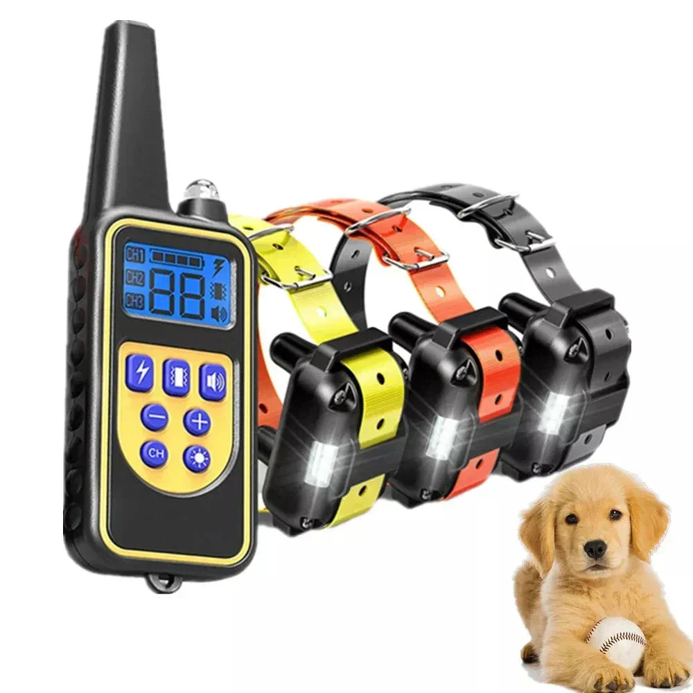 PawControl - Collier de Dressage pour Chiens Étanche avec Batterie Rechargeable