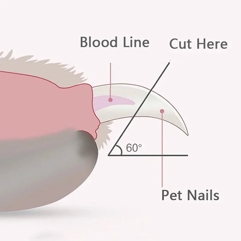 LumiPaw Pro | Ciseaux à Ongles Professionnels avec Lumière LED | Coupe Sûre pour Chiens, Chats et Petits Animaux | Lames en Acier Inoxydable & Poignée Antidérapante