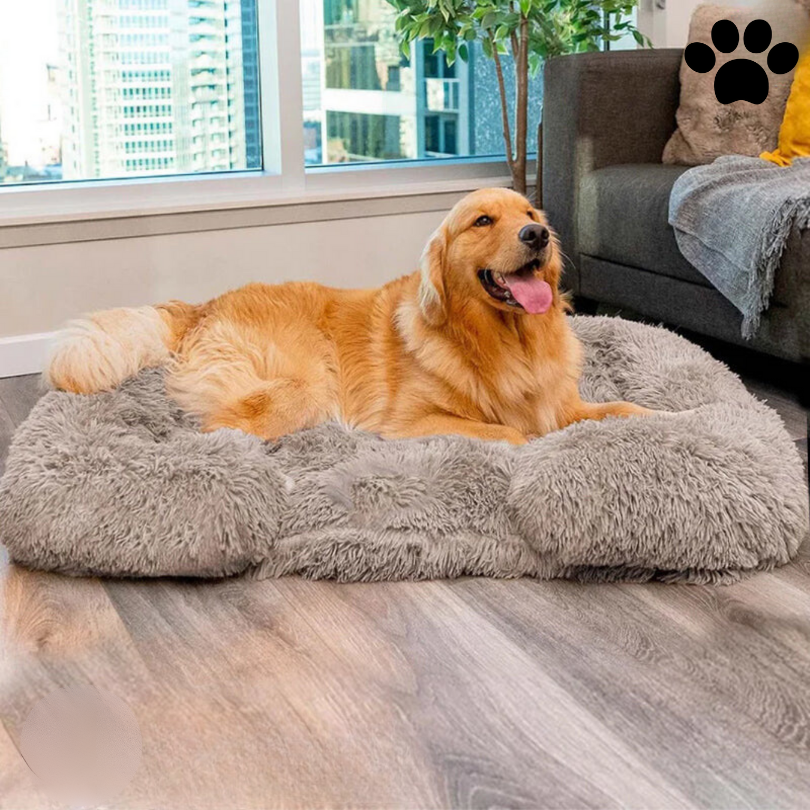 Lit pour Chien en Mousse à Mémoire Orthopédique avec Revêtement Imperméable – Grand Lit Confortable pour un Meilleur Sommeil et Support