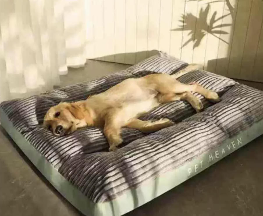FlauschNest Lit Orthopédique pour Chien – Douillet & Soutenant pour des Nuits Reposantes