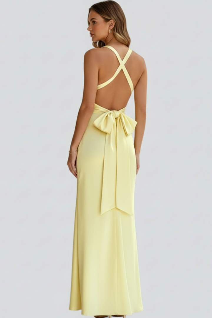 Robe Maxi Femme avec Décolleté en V et Taille Cintrée