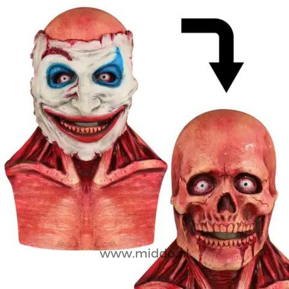 Masque Crâne | Masque double réaliste