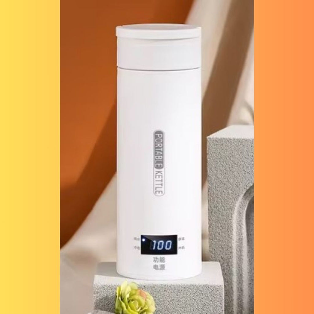 ThermoHeat | Bouilloire Électrique Inox à Ébullition Rapide