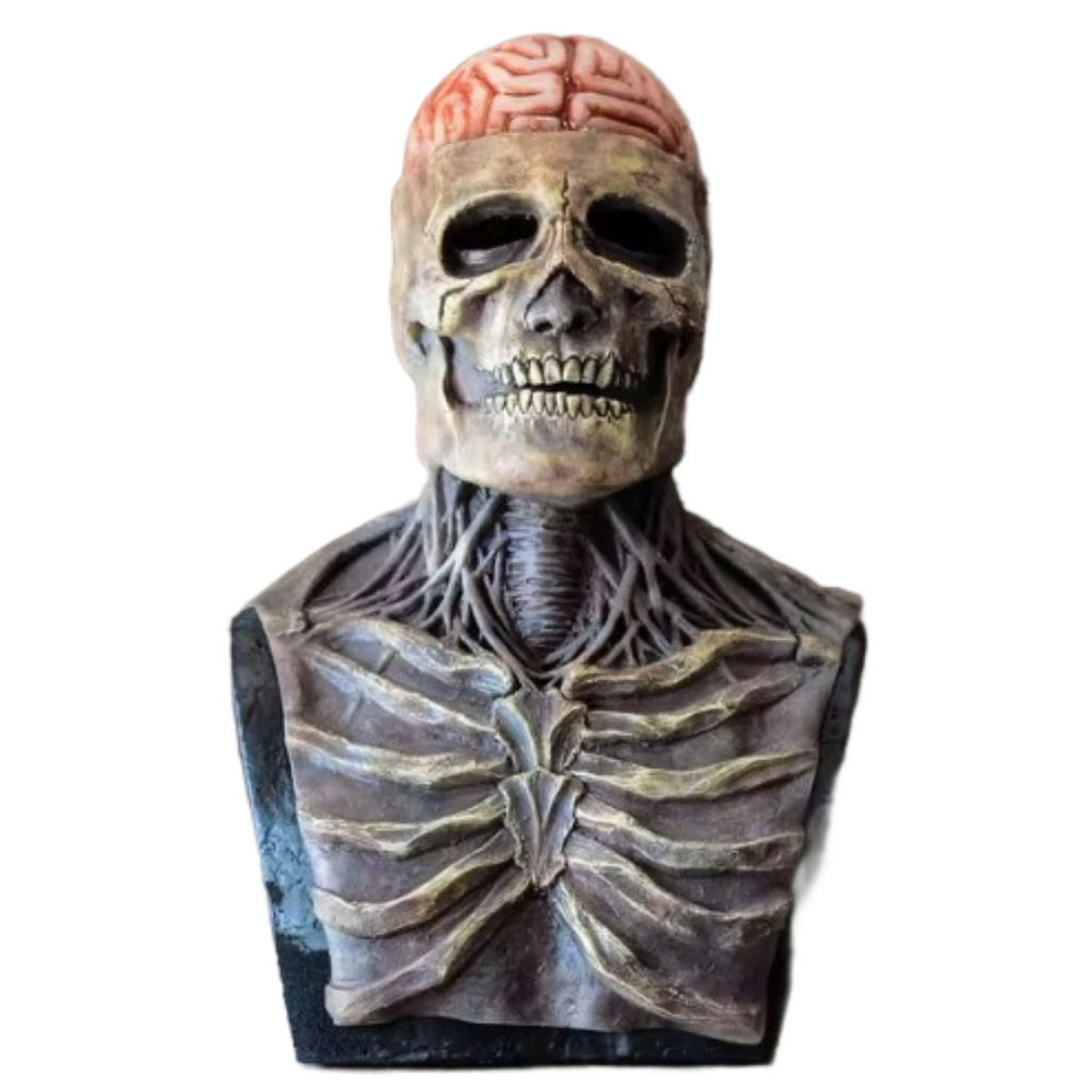 Costume FancySkull | Fait peur à tout le monde !
